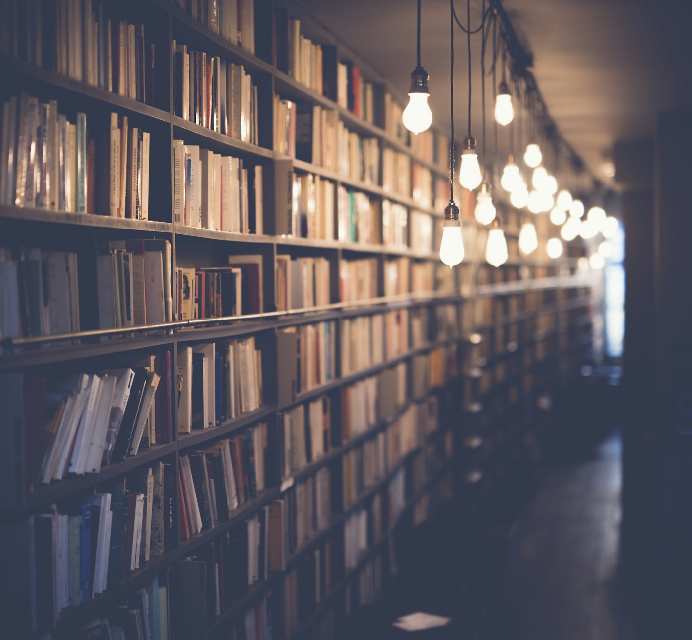 Una biblioteca con lamparitas colgando